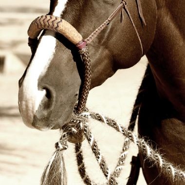 Side-pull y Bosal