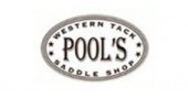 Poolïs